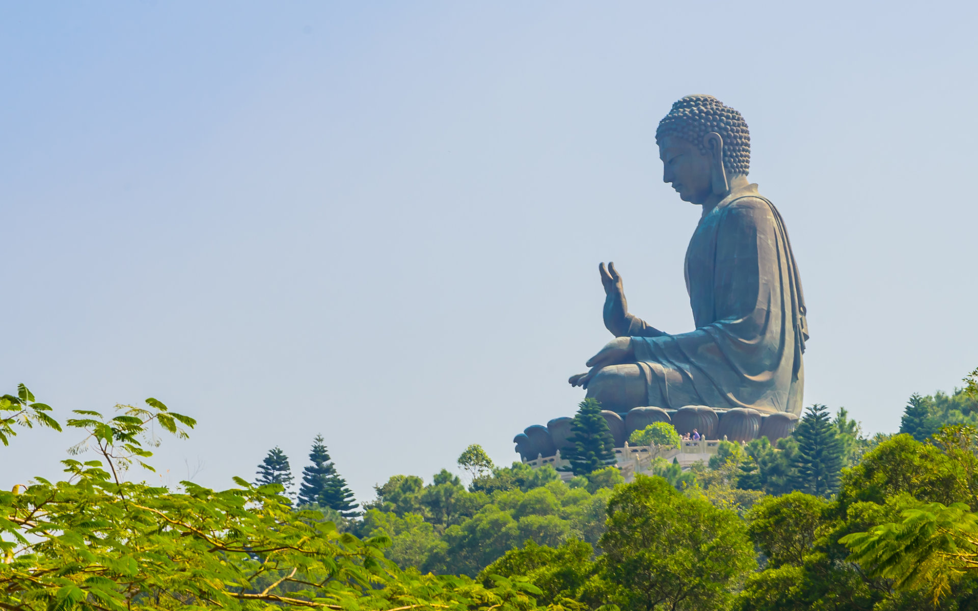 ¿Quién fue el Buda histórico?